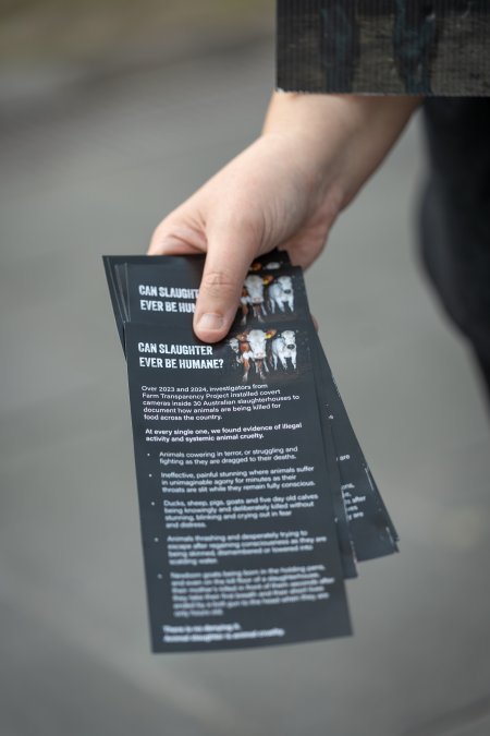 3 August 2025: Dominion Outreach Melbourne: Shut Down Slaughterhouses