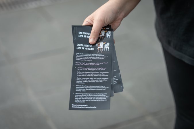 3 August 2025: Dominion Outreach Melbourne: Shut Down Slaughterhouses