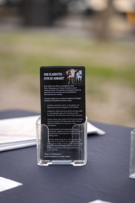 3 August 2025: Dominion Outreach Melbourne: Shut Down Slaughterhouses