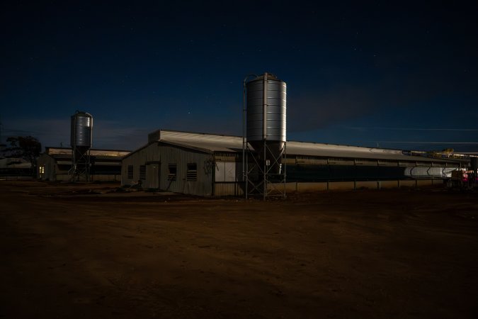 Finniss Park Piggery 2025