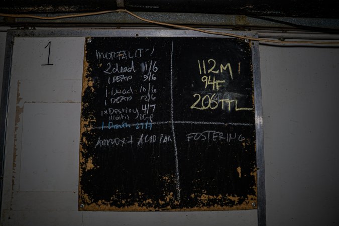 Blackboard on door to weaner shed