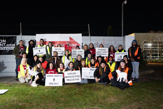 Cedar Meats Vigil - National Week Of Action 2025