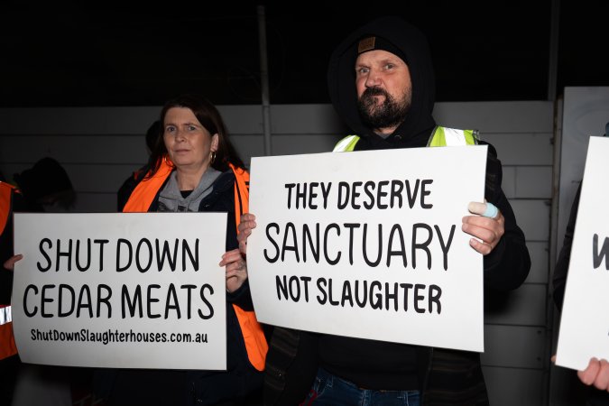 Cedar Meats Vigil - National Week Of Action 2025