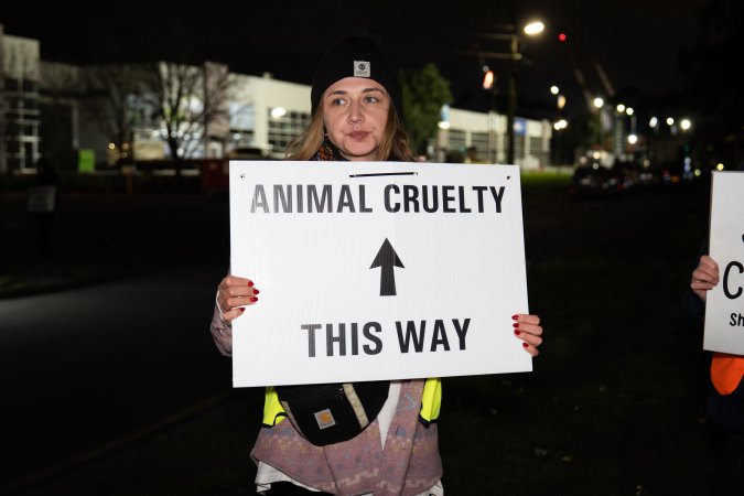 Cedar Meats Vigil - National Week Of Action 2025
