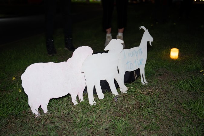 Cedar Meats Vigil - National Week Of Action 2025