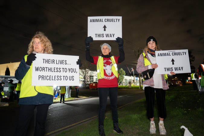 Cedar Meats Vigil - National Week Of Action 2025