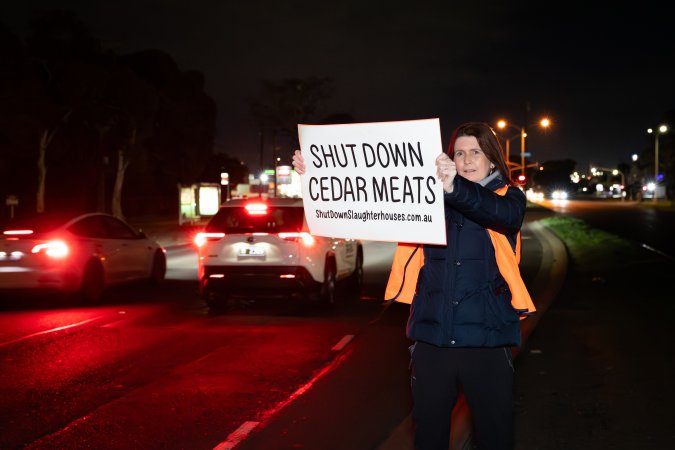 Cedar Meats Vigil - National Week Of Action 2025