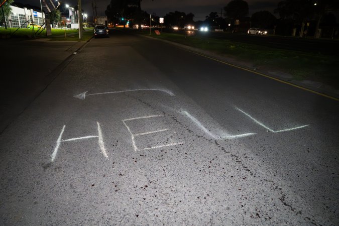 Cedar Meats Vigil - National Week Of Action 2025