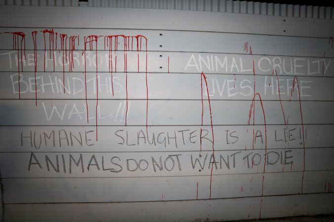 Cedar Meats Vigil - National Week Of Action 2025