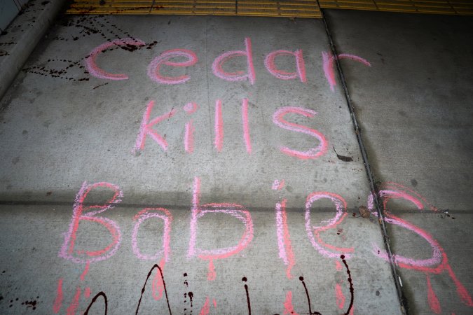 Cedar Meats Vigil - National Week Of Action 2025