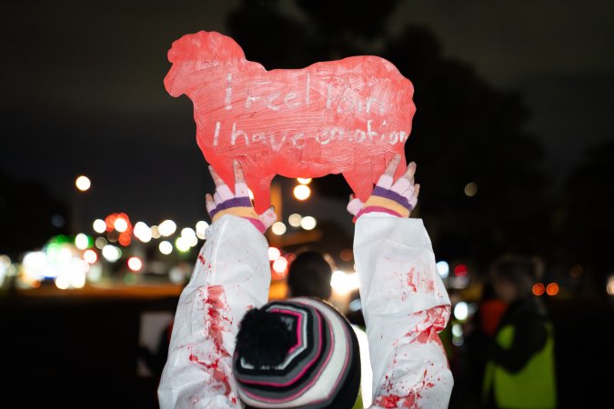 Cedar Meats Vigil - National Week Of Action 2025