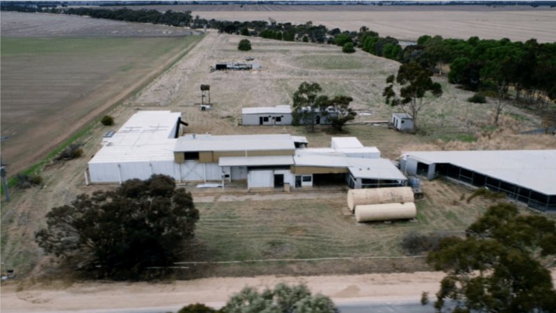 Real estate listing photo