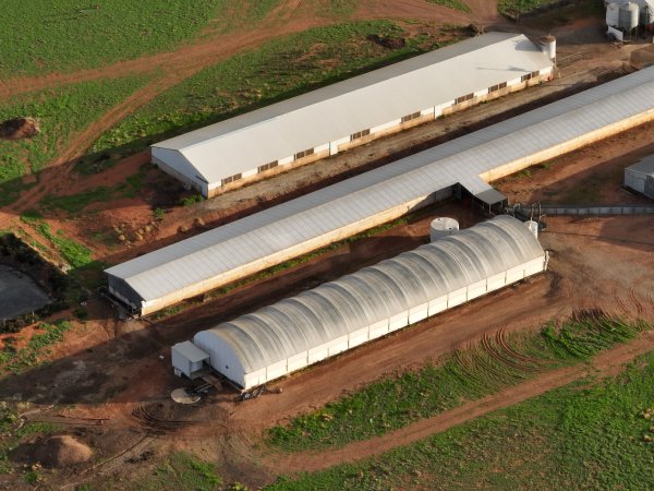 Drone flyover of piggery