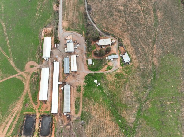 Drone flyover of piggery