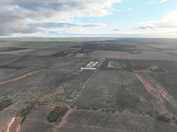 Drone flyover of piggery