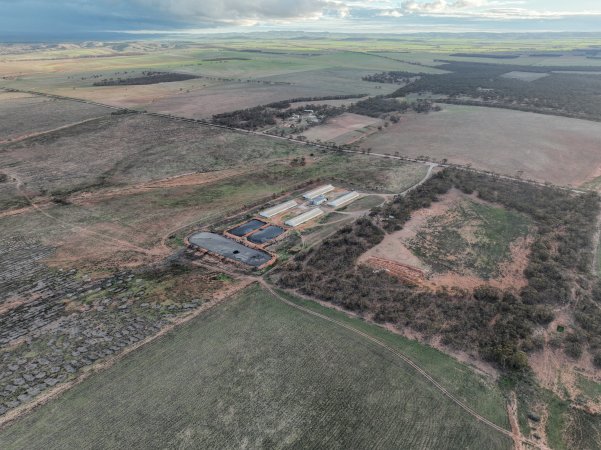 Drone flyover of piggery