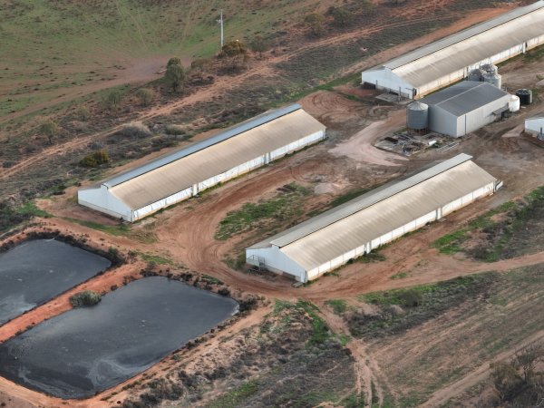 Drone flyover of piggery