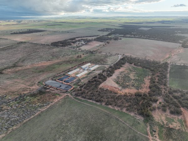 Drone flyover of piggery