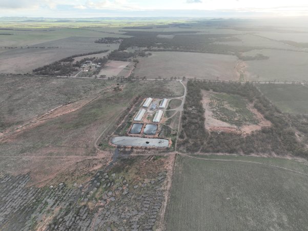 Drone flyover of piggery