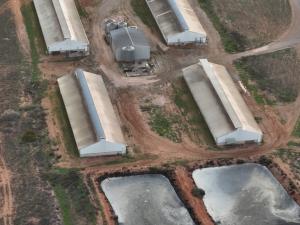 Drone flyover of piggery