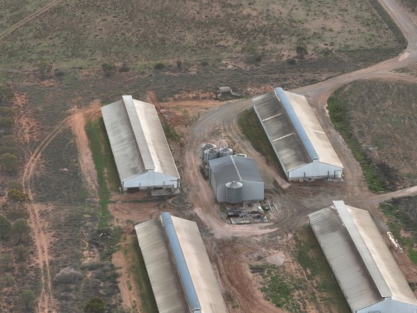 Drone flyover of piggery