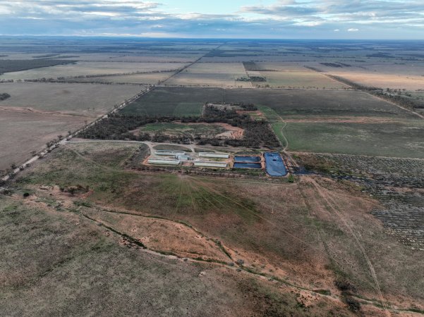 Drone flyover of piggery