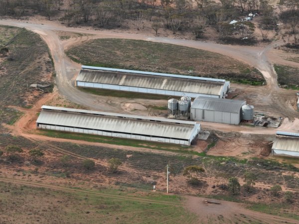 Drone flyover of piggery