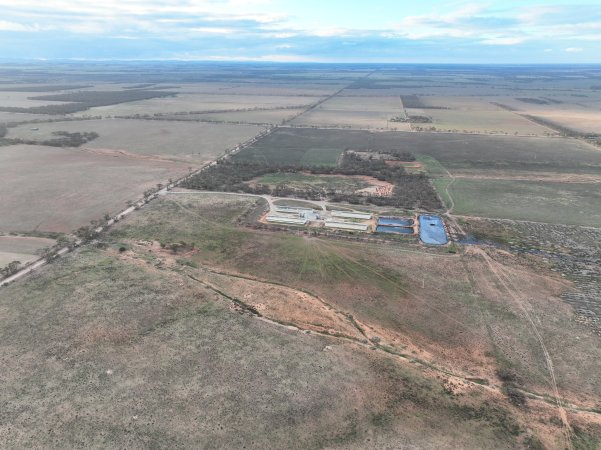 Drone flyover of piggery