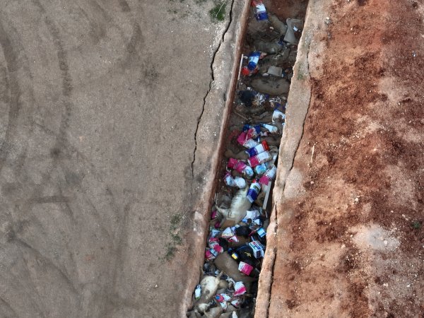 Trench of dead pigs, as seen from drone