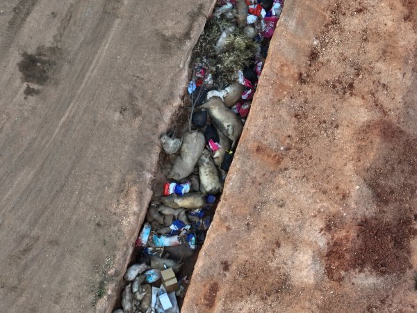 Trench of dead pigs, as seen from drone