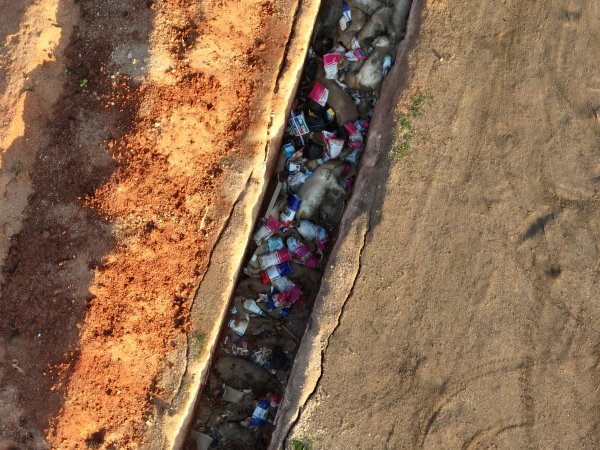 Trench of dead pigs, as seen from drone