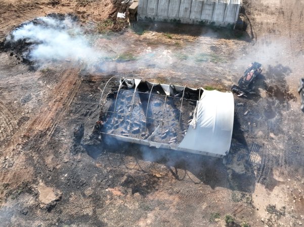 Pigs burned alive in shed fires