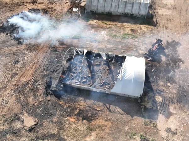 Pigs burned alive in shed fires