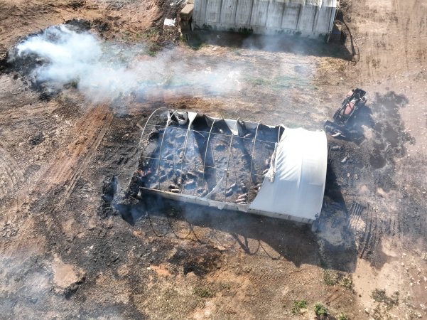 Pigs burned alive in shed fires