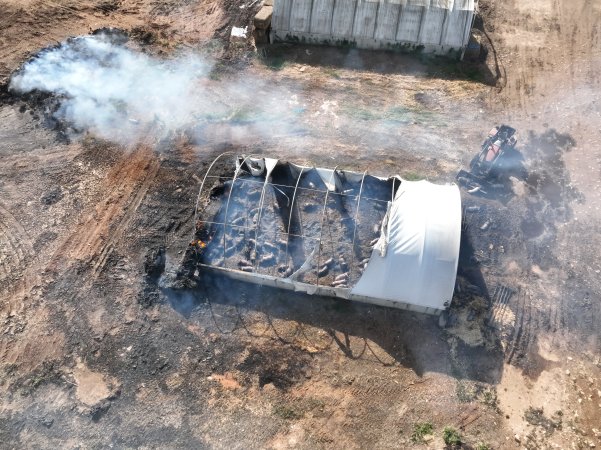 Pigs burned alive in shed fires