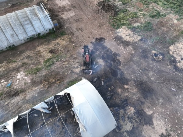 Pigs burned alive in shed fires