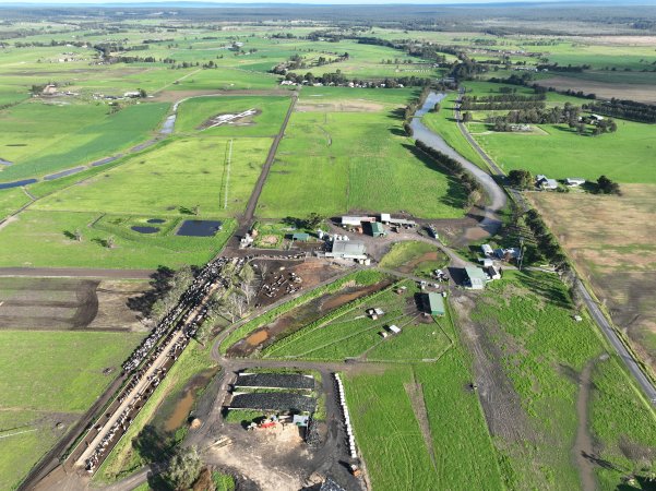 NSW Dairy Farms 2025