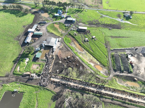 NSW Dairy Farms 2025