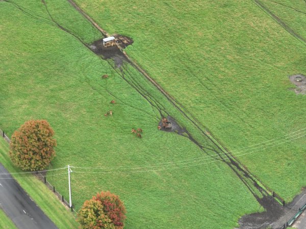 NSW Dairy Farms 2025