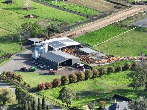 NSW Dairy Farms 2025