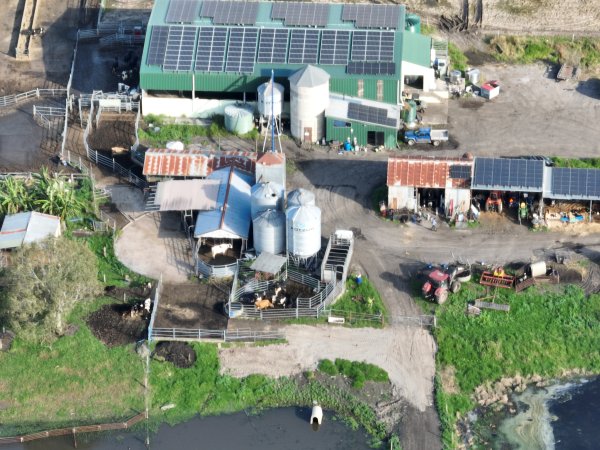NSW Dairy Farms - 2025