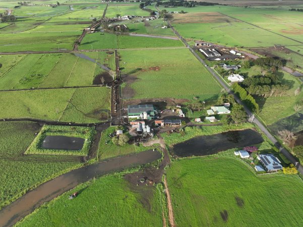NSW Dairy Farms - 2025
