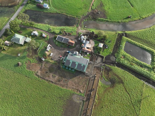 NSW Dairy Farms - 2025
