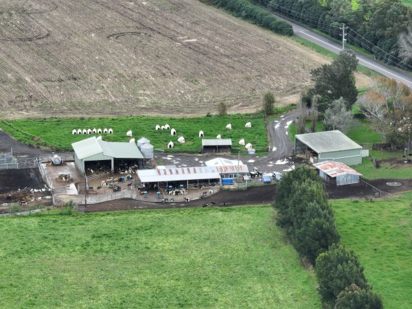 NSW Dairy farm and calf crates - 2025