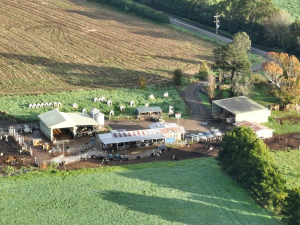 NSW Dairy farm and calf crates - 2025