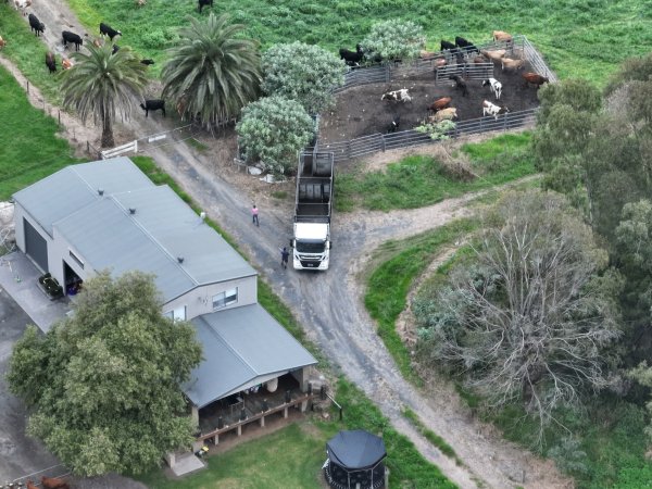 NSW Dairy Farms - 2025