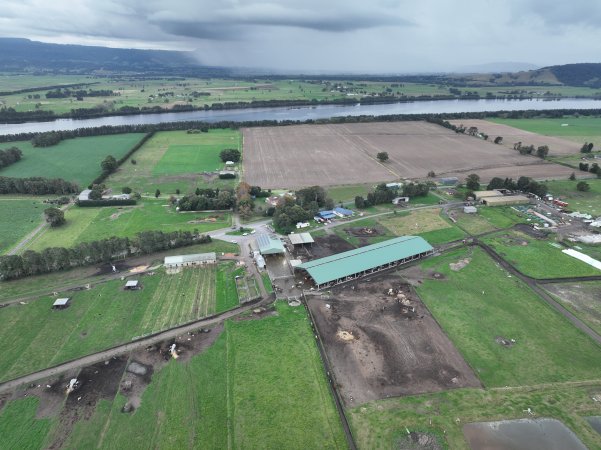 NSW Dairy Farms - 2025