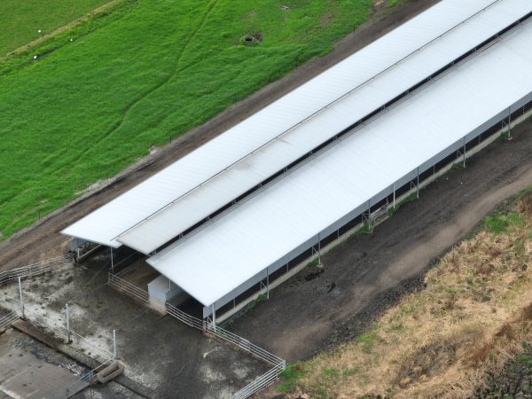 NSW Dairy farms - 2025