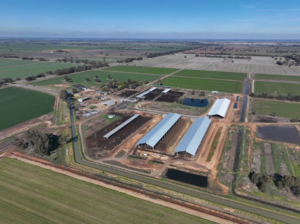 Drone - Dairy factory farm