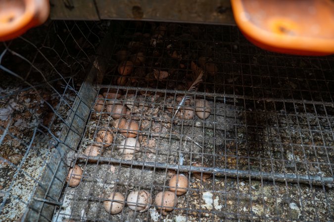 Smashed eggs under stacks